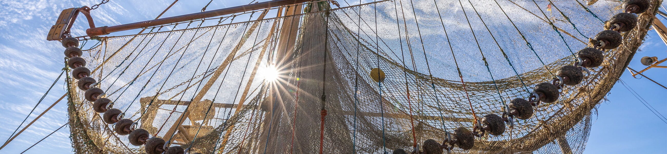 Fischernetze mit Bojen im Gegenlicht